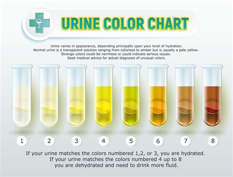 drug test hard to pee|urien test have prescription.